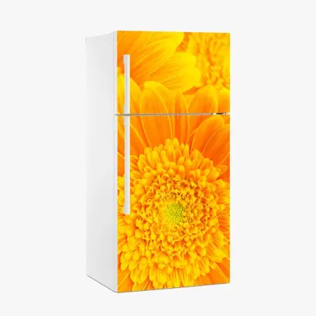 Pegatina para frigorífico estallido de color: gerberas naranjas en primer plano – Pixers®