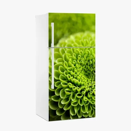 Pegatina para frigorífico patrón botánico verde en espiral – Pixers®