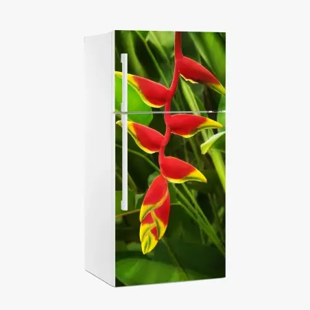 Pegatina para frigorífico heliconia roja y amarilla sobre follaje tropical – Pixers®