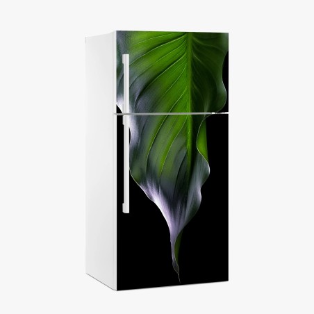 Pegatina para frigorífico hoja verde en contraste dramático – Pixers®
