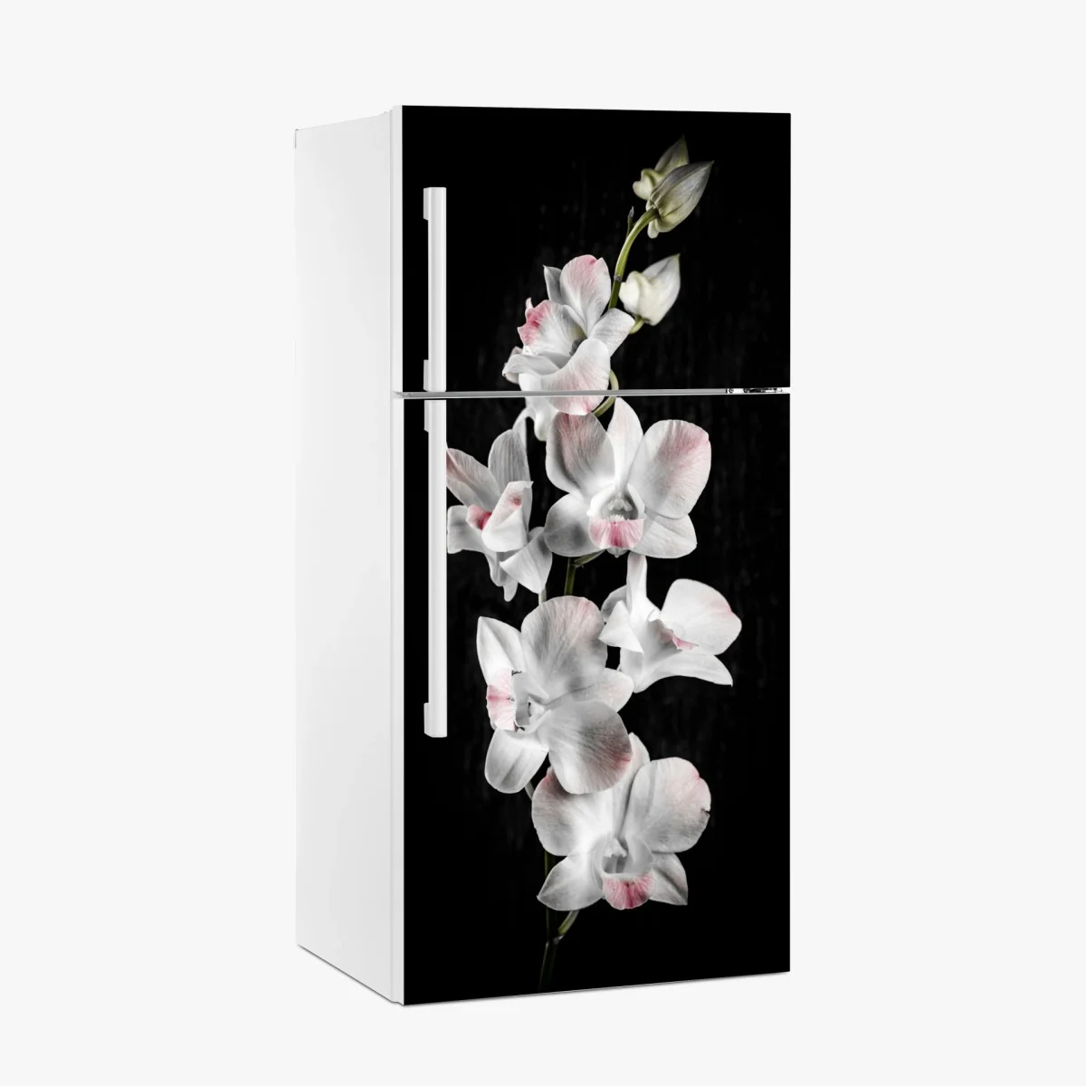 Pegatina para frigorífico orquídeas blancas con toques rosados sobre fondo negro – Pixers® Pegatina para frigorífico orquídeas blancas con toques rosados sobre fondo negro – Pixers®