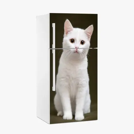 Pegatina para frigorífico retrato tierno de gato blanco con mirada curiosa – Pixers®