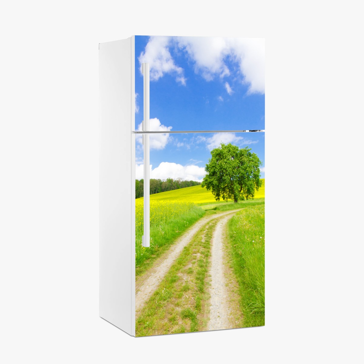 Pegatina para frigorífico camino rural entre campos amarillos – Pixers®