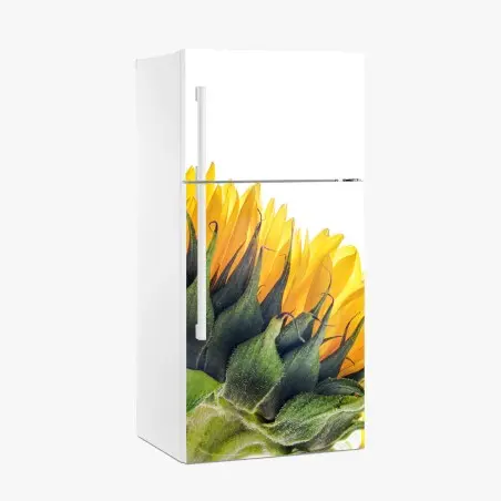 Pegatina para frigorífico girasol en primer plano sobre fondo blanco – Pixers®