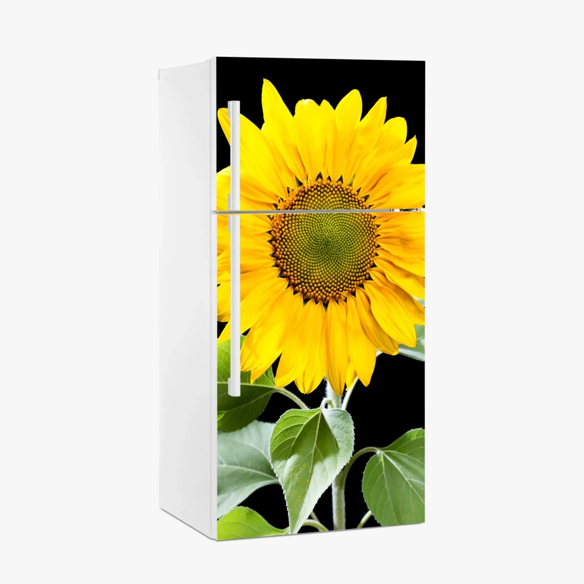 Pegatina para frigorífico girasol dorado sobre fondo negro – Pixers® Pegatina para frigorífico girasol dorado sobre fondo negro – Pixers®