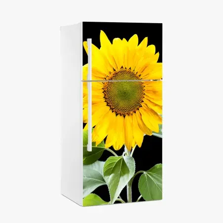 Pegatina para frigorífico girasol dorado sobre fondo negro – Pixers®