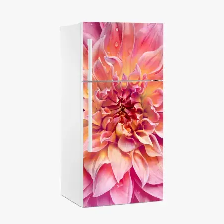 Pegatina para frigorífico dalia rosa y melocotón en primer plano – Pixers®