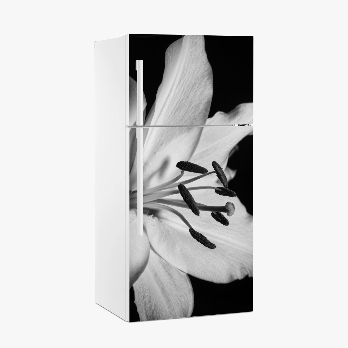 Pegatina para frigorífico lirio en primer plano blanco y negro – Pixers®