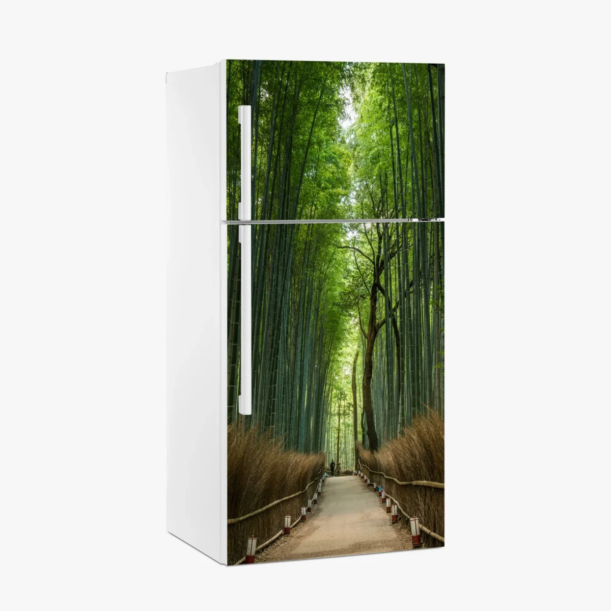 Pegatina para frigorífico sendero en bosque de bambú – Pixers® Pegatina para frigorífico sendero en bosque de bambú – Pixers®