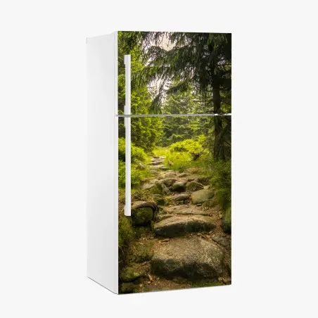 Pegatina para frigorífico sendero rocoso entre pinos – Pixers®