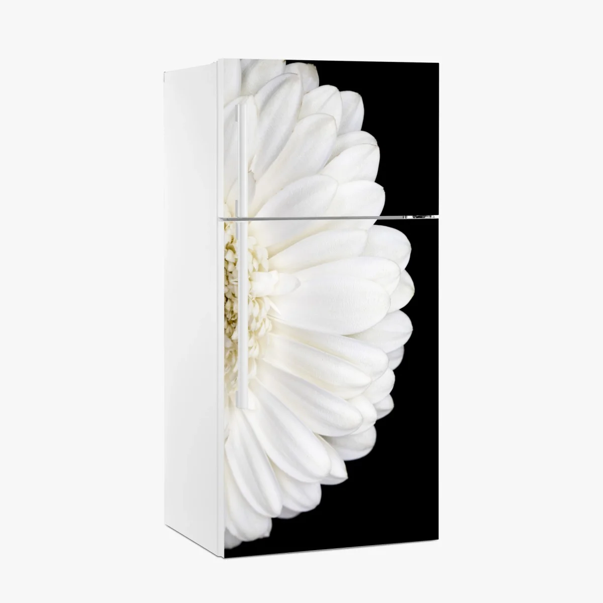 Pegatina para frigorífico gerbera blanca en fondo negro minimalista – Pixers® Pegatina para frigorífico gerbera blanca en fondo negro minimalista – Pixers®