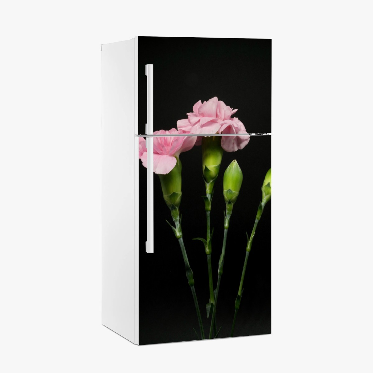 Pegatina para frigorífico claveles rosas sobre fondo negro – Pixers®