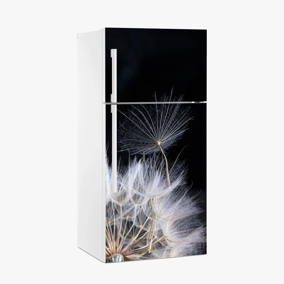 Pegatina para frigorífico semilla de diente de león sobre fondo negro – Pixers® Pegatina para frigorífico semilla de diente de león sobre fondo negro – Pixers®