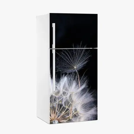 Pegatina para frigorífico semilla de diente de león sobre fondo negro – Pixers®