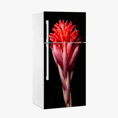 Pegatina para frigorífico flor tropical en primer plano sobre fondo negro – Pixers®