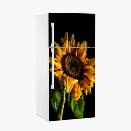 Pegatina para frigorífico girasol dorado en contraste sobre fondo negro – Pixers®