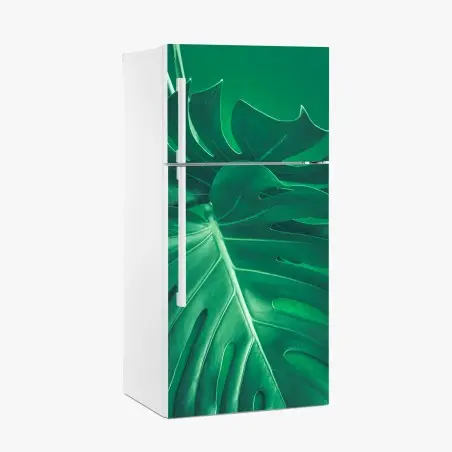 Pegatina para frigorífico hoja de monstera en primer plano sobre fondo verde – Pixers®