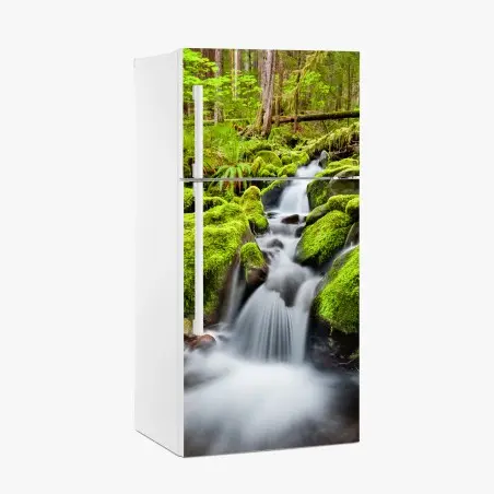Pegatina para frigorífico serenidad del arroyo en Sol Duc – Pixers®