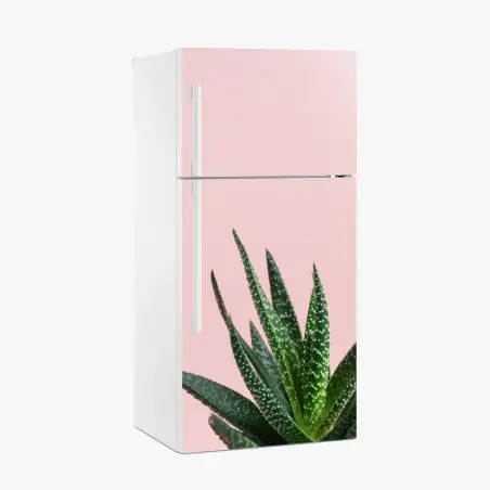 Pegatina para frigorífico aloe minimalista sobre fondo rosa – Pixers®