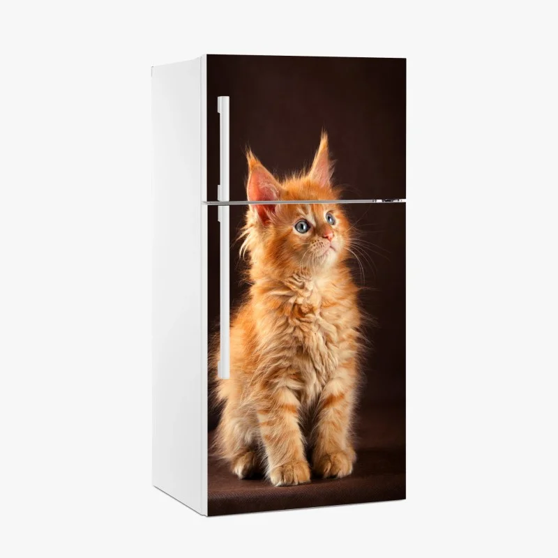 Pegatina para frigorífico gatito naranja esponjoso con mirada curiosa
