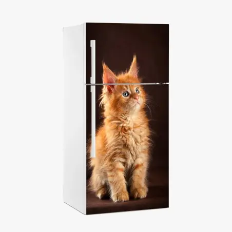 Pegatina para frigorífico gatito naranja esponjoso con mirada curiosa – Pixers®
