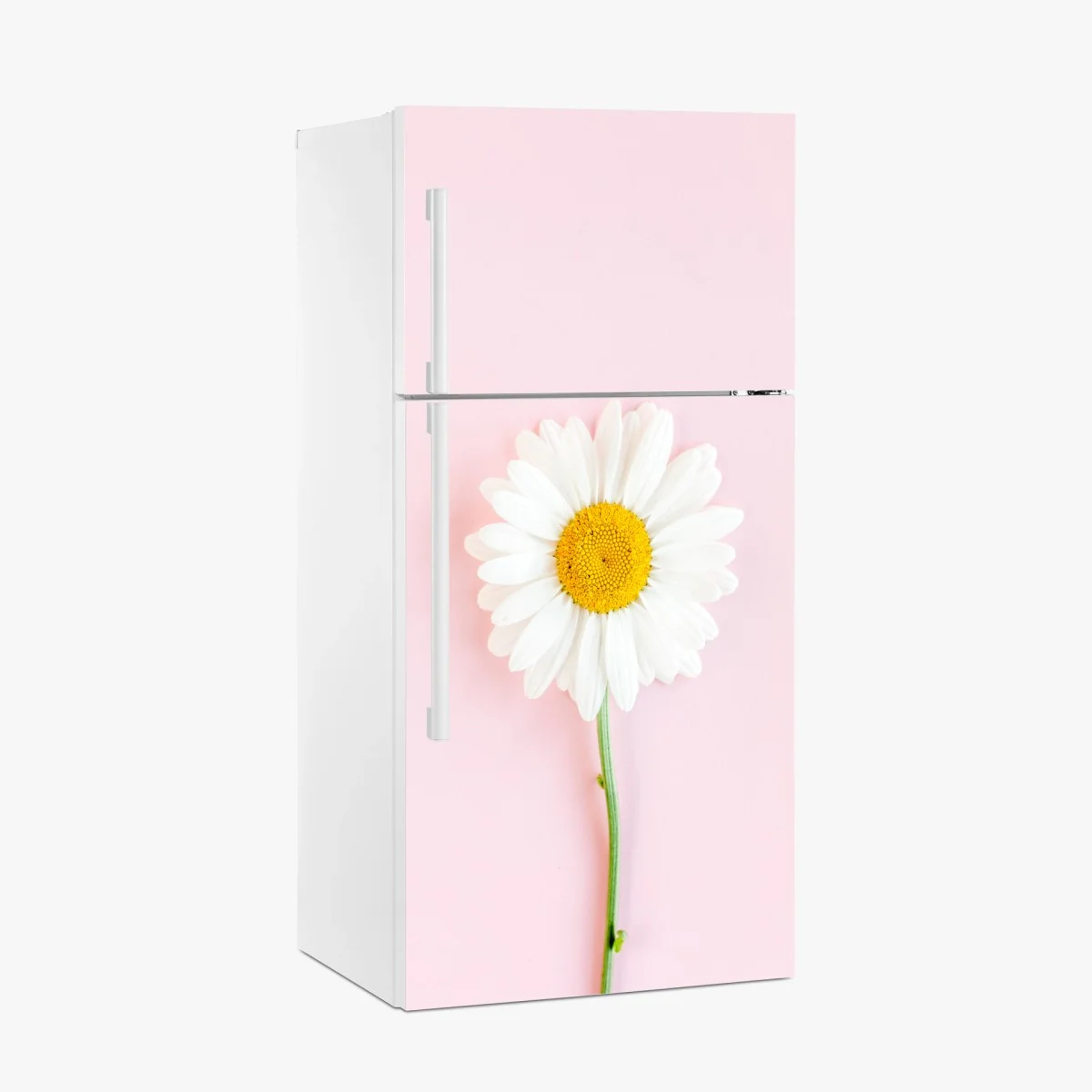 Pegatina para frigorífico margarita sobre fondo rosa minimalista – Pixers® Pegatina para frigorífico margarita sobre fondo rosa minimalista – Pixers®