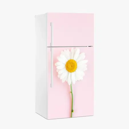 Pegatina para frigorífico margarita sobre fondo rosa minimalista – Pixers®