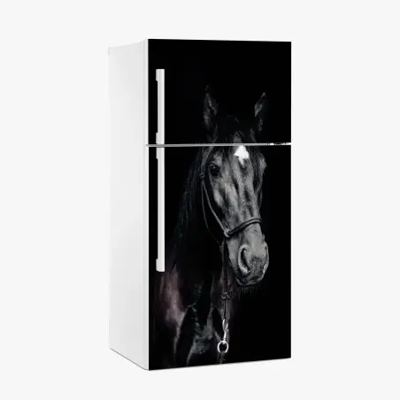 Pegatina para frigorífico retrato majestuoso de caballo negro – Pixers®