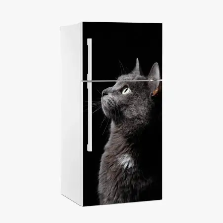 Pegatina para frigorífico perfil elegante de gato gris mirando la luz – Pixers®