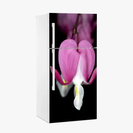 Pegatina para frigorífico flor corazón sangrante en primer plano – Pixers®