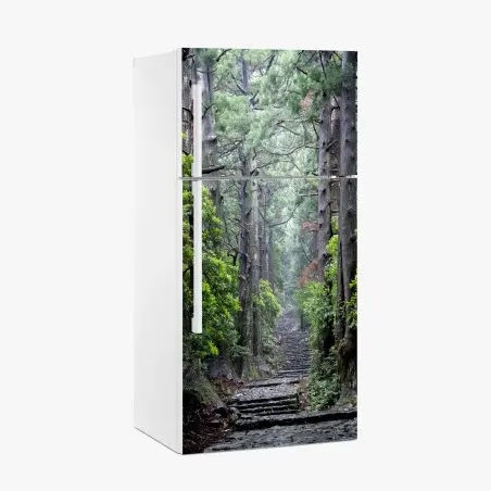 Pegatina para frigorífico sendero de piedra en bosque milenario – Pixers®