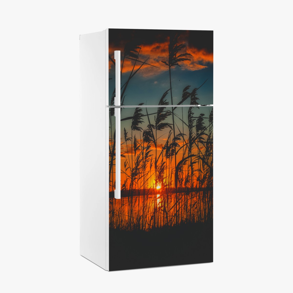Pegatina para frigorífico atardecer entre juncos en el lago – Pixers®