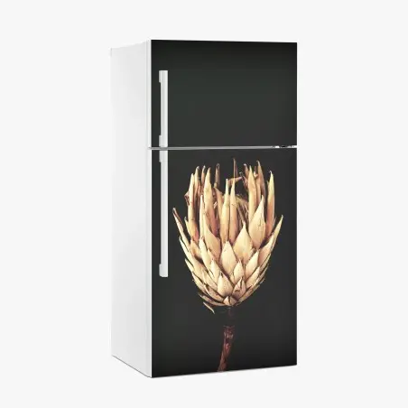 Pegatina para frigorífico protea seca sobre fondo oscuro y minimalista – Pixers®