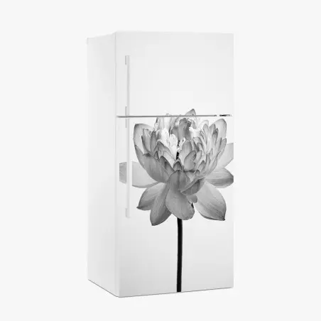 Pegatina para frigorífico loto en blanco y negro sobre fondo minimalista – Pixers®