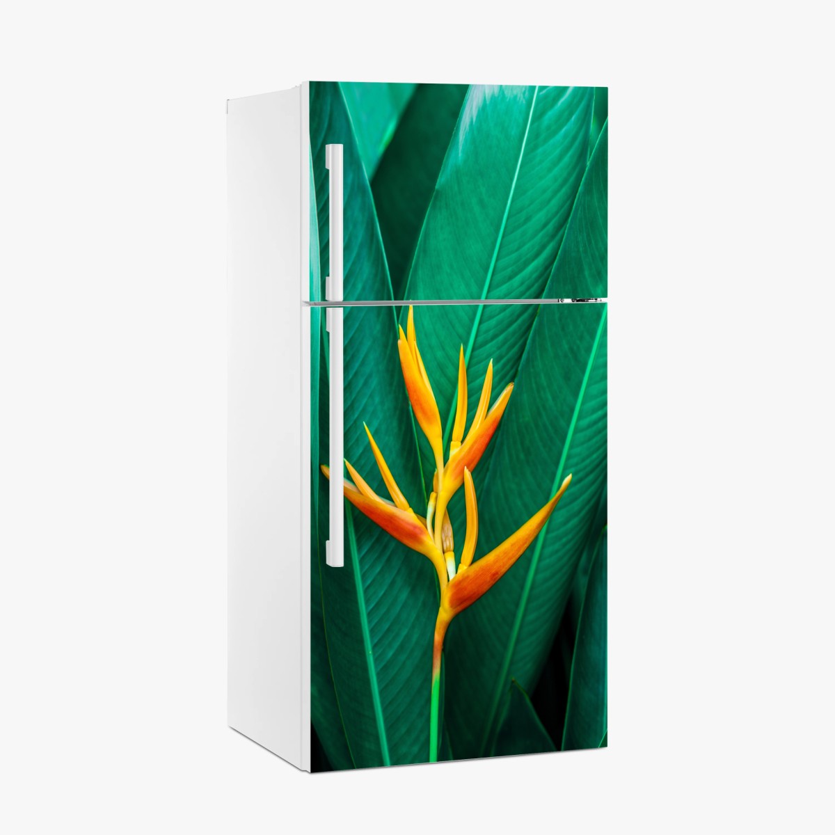 Pegatina para frigorífico flor tropical vibrante sobre follaje verde – Pixers®