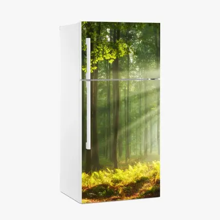 Pegatina para frigorífico amanecer otoñal en bosque antiguo – Pixers®