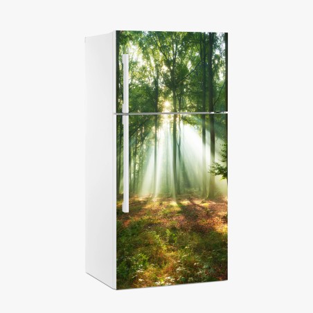 Pegatina para frigorífico luz entre los árboles al amanecer – Pixers®