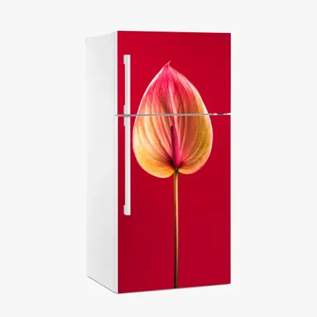Pegatina para frigorífico anturio en rojo: detalle botánico elegante – Pixers®