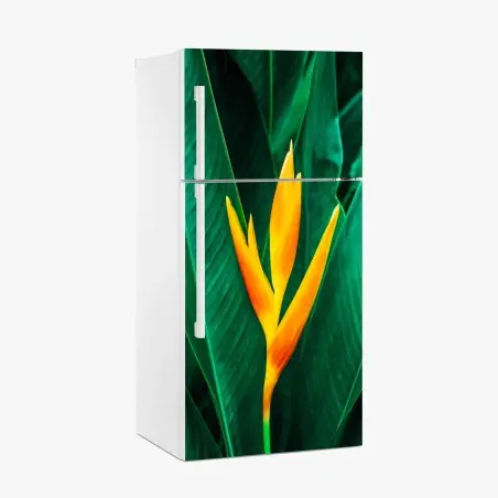 Pegatina para frigorífico flor tropical en vibrante contraste – Pixers®