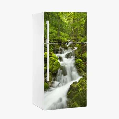 Pegatina para frigorífico oasis de agua en Slovenský Raj – Pixers®