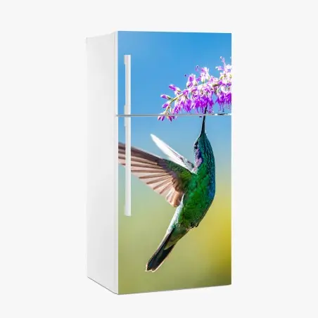 Pegatina para frigorífico colibrí esmeralda sobre flor violeta – Pixers®