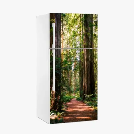 Pegatina para frigorífico sendero entre majestuosas secuoyas – Pixers®