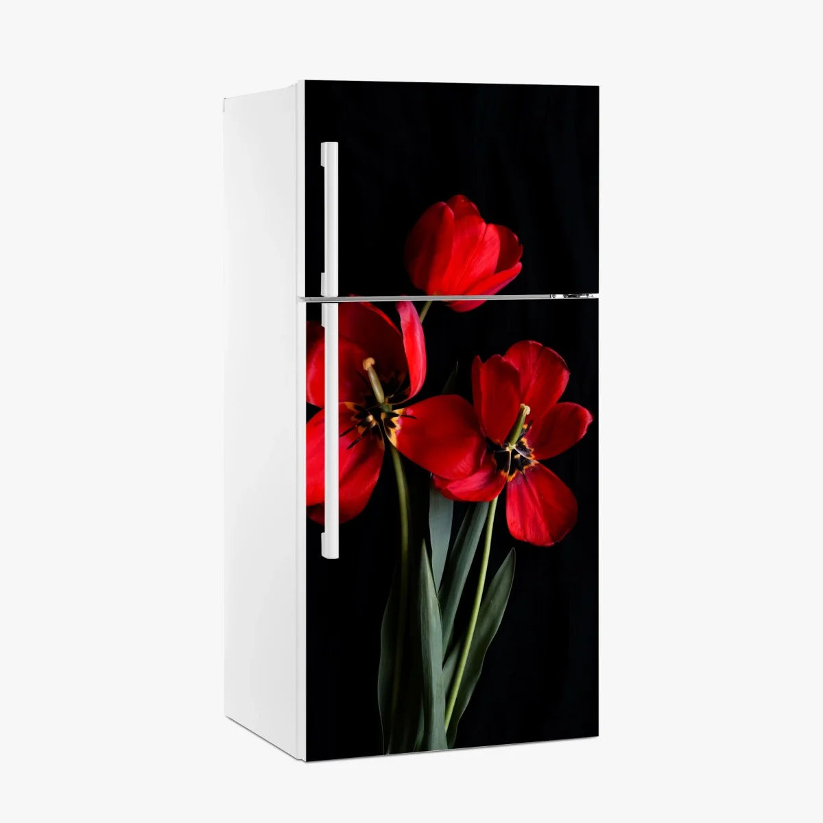 Pegatina para frigorífico arreglo de tulipanes rojos sobre fondo negro – Pixers® Pegatina para frigorífico arreglo de tulipanes rojos sobre fondo negro – Pixers®