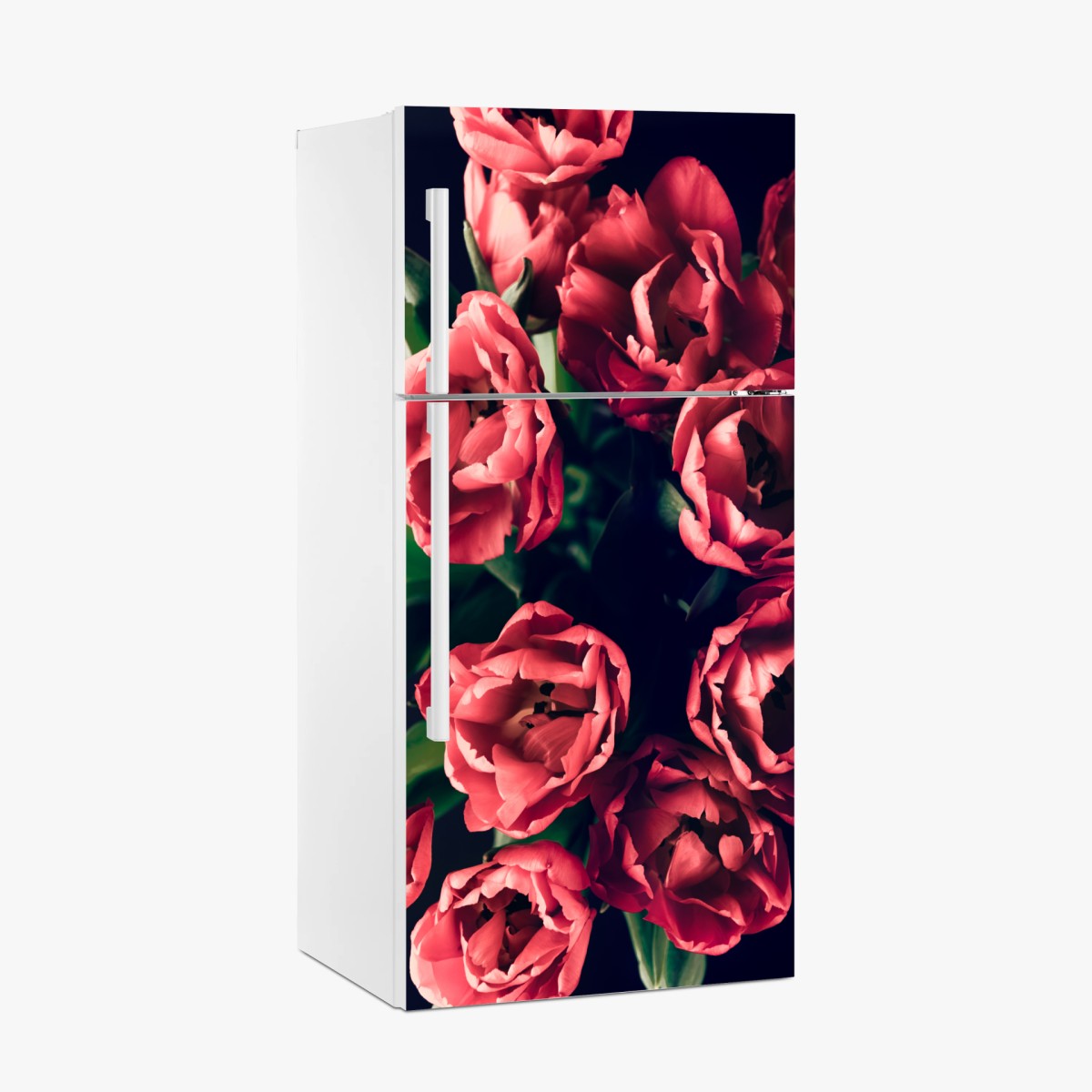 Pegatina para frigorífico tulipanes rojos sobre fondo oscuro – Pixers®