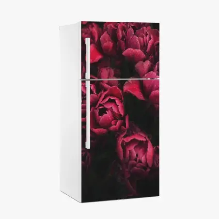 Pegatina para frigorífico tulipanes rojos con gotas de rocío – Pixers®
