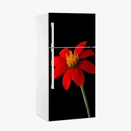 Pegatina para frigorífico girasol mexicano rojo sobre fondo negro – Pixers®