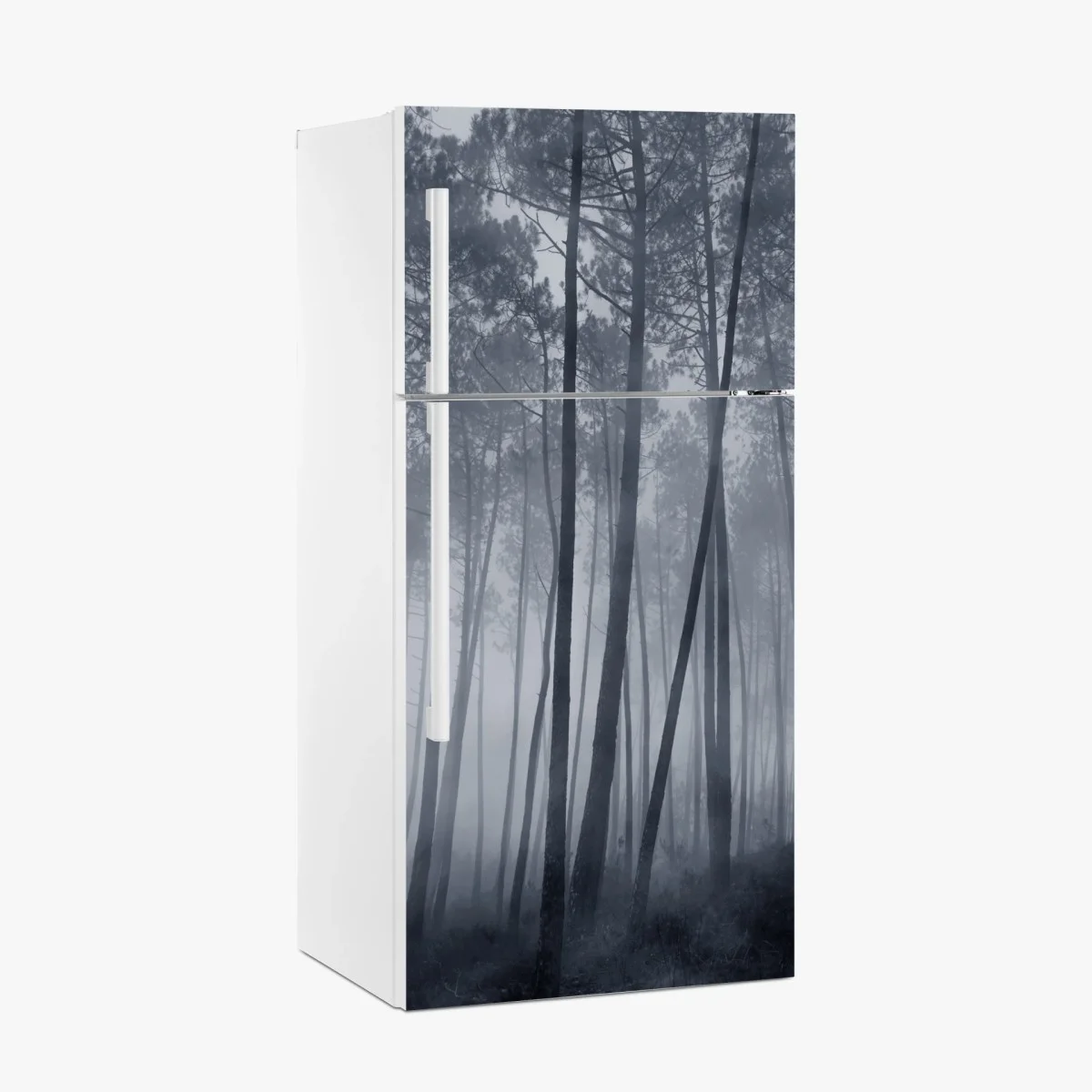Pegatina para frigorífico bosque de pinos en niebla nocturna – Pixers® Pegatina para frigorífico bosque de pinos en niebla nocturna – Pixers®