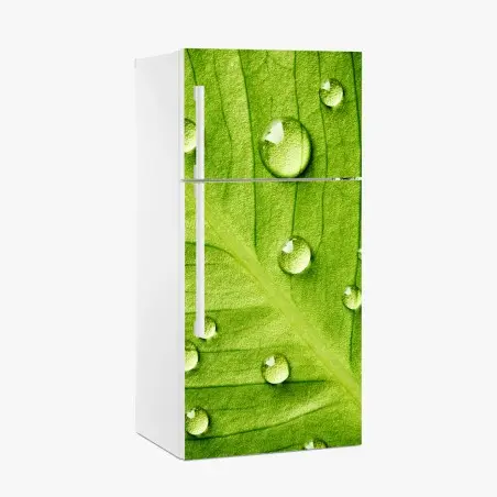 Pegatina para frigorífico hoja verde con gotas de rocío – Pixers®