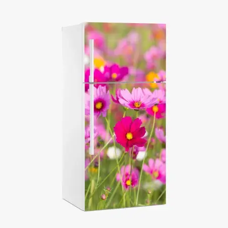 Pegatina para frigorífico campo de cosmos rosados en flor – Pixers®