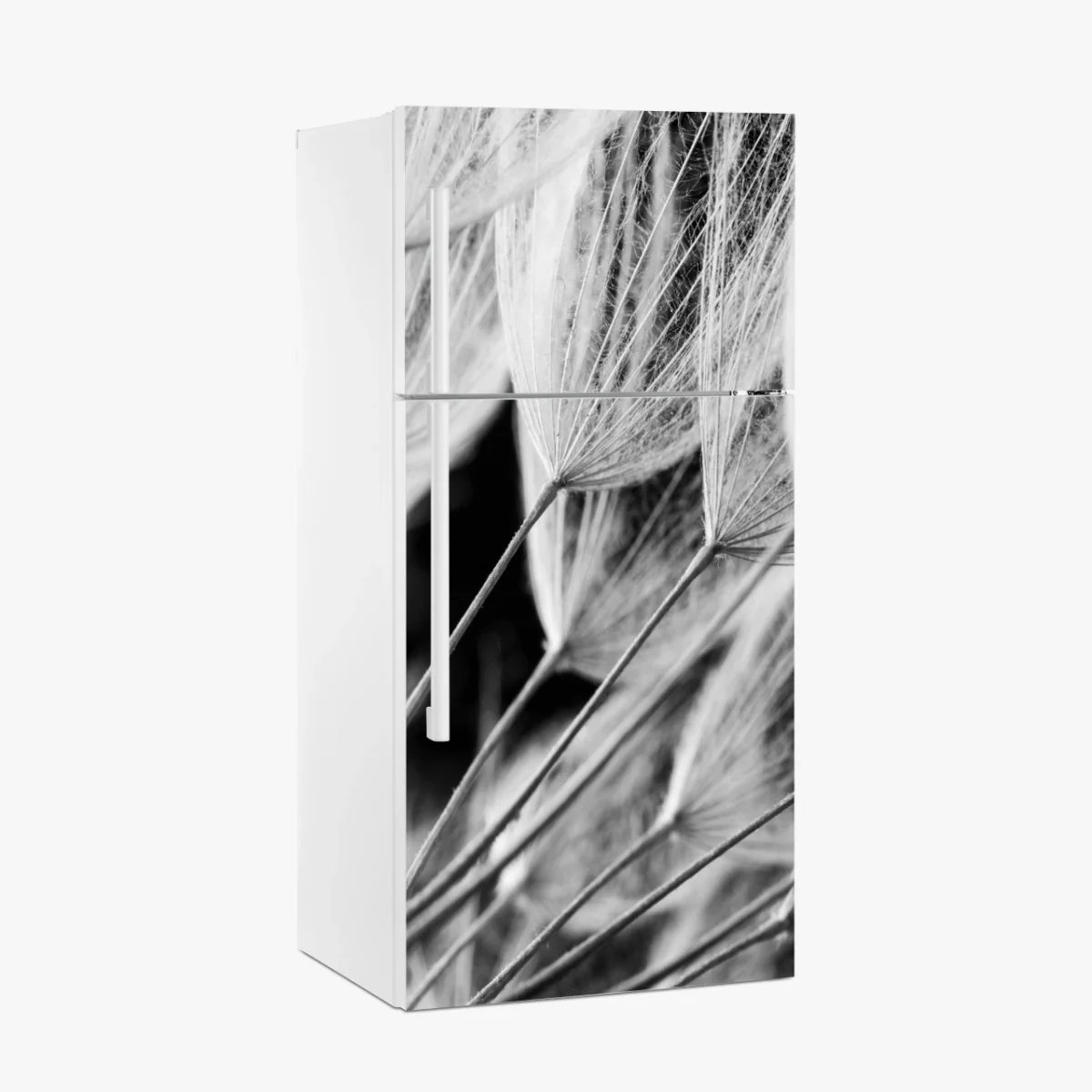 Pegatina para frigorífico detalle delicado de semillas de diente de león en blanco y negro – Pixers® Pegatina para frigorífico detalle delicado de semillas de diente de león en blanco y negro – Pixers®